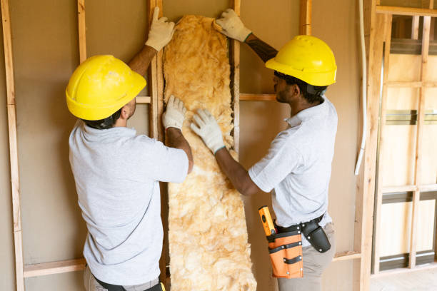 Professional Insulation in Daly City, CA